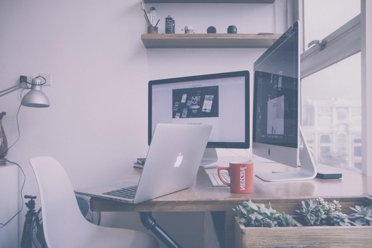 Paralivonexa ortaklarıyla düzenlenen atölye çalışması